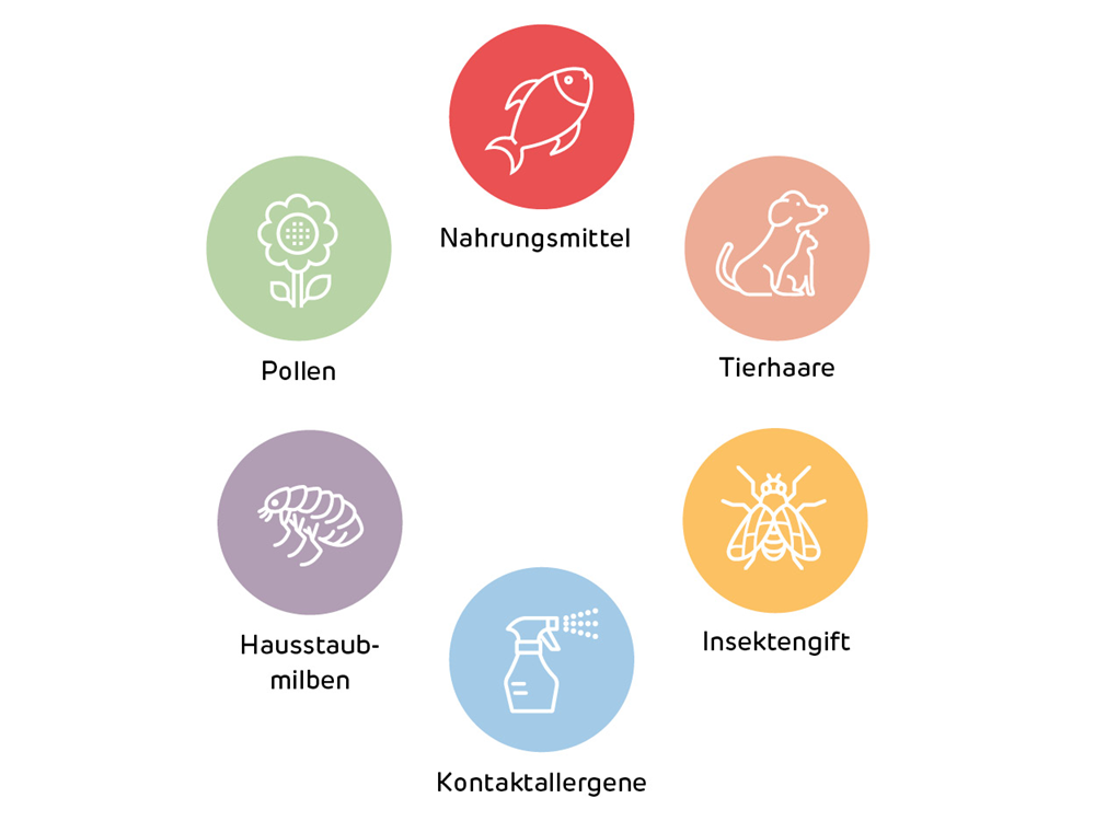 Mögliche Allergien wie Nahrungsmittel, Pollen, Tierhaare, Hausstaubmilben, Kontaktallergene oder Insektengift im Kreis aufgestellt.