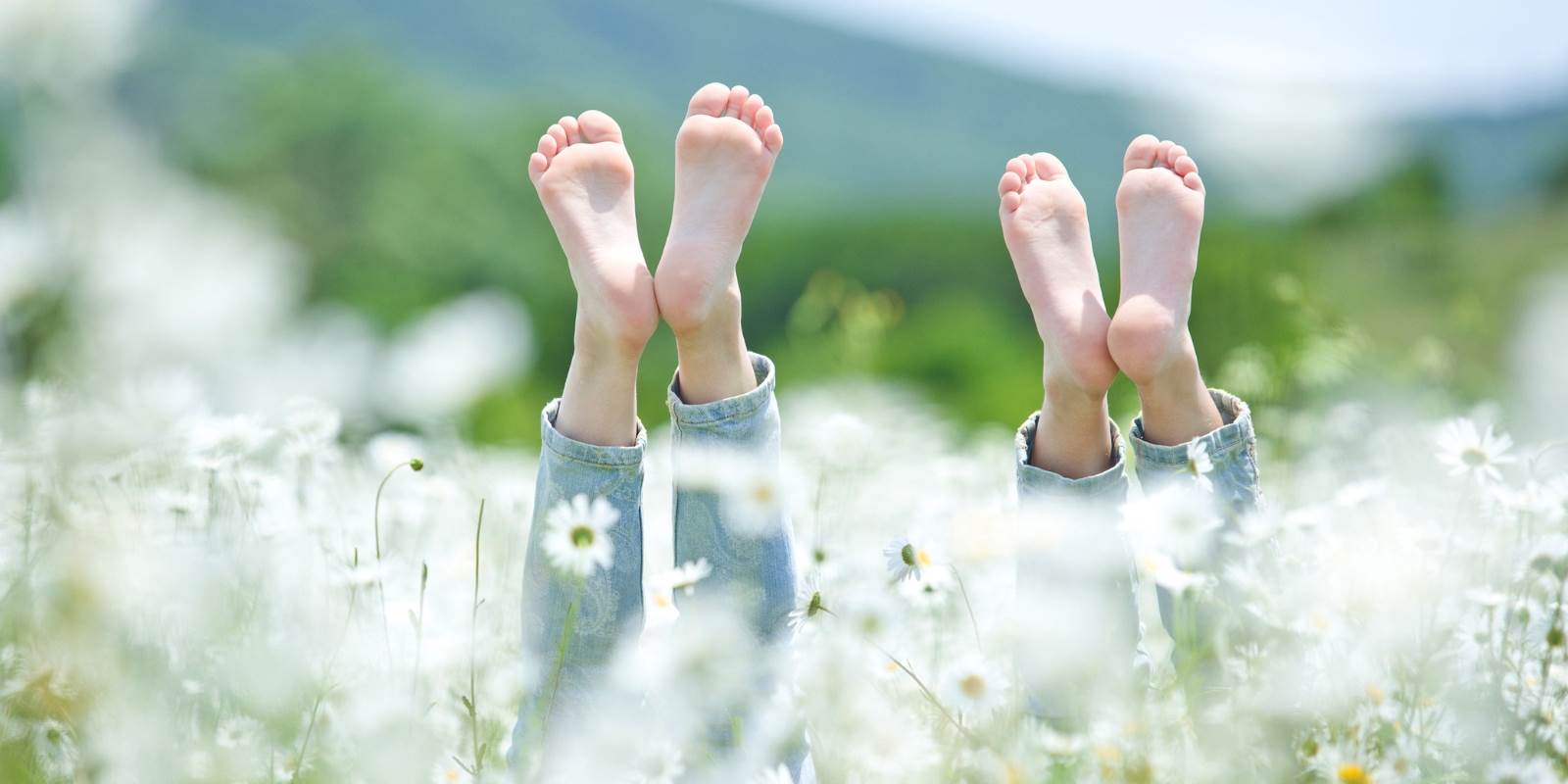 4 Füsse hochgestreckt auf Blumenfeld