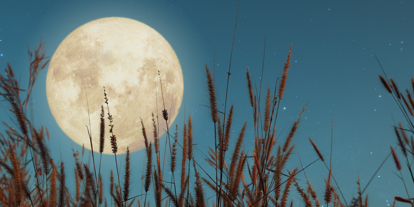 Vollmond in der Nacht