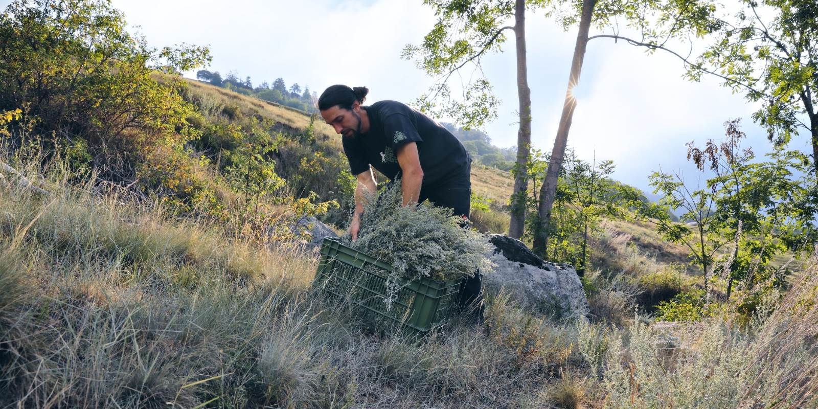 lukas sarbach bei der ernte auf dem feld