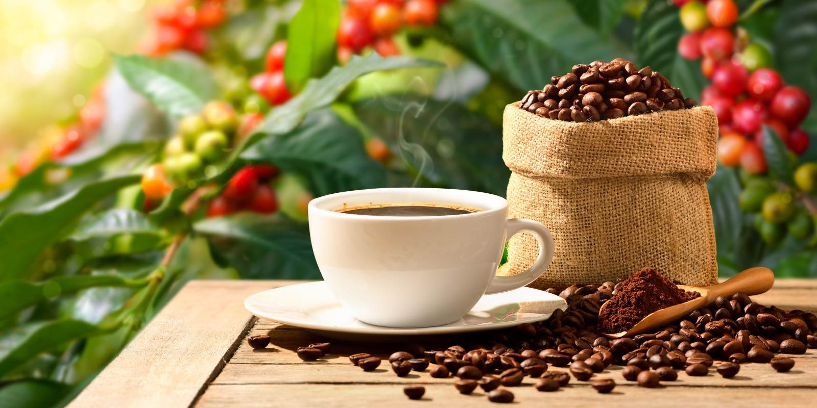 kaffebohnen und eine kaffeetasse